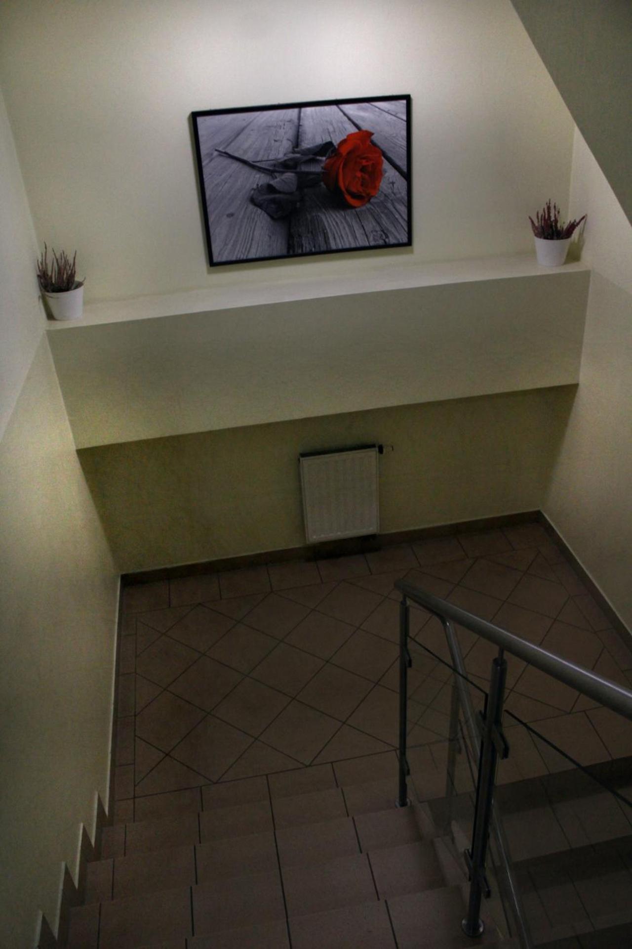 Hotel Kreator-Sport Kraków Eksteriør billede